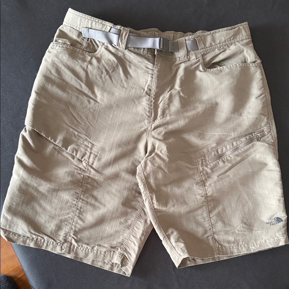 The North Face Men's Brown Cargo Shorts